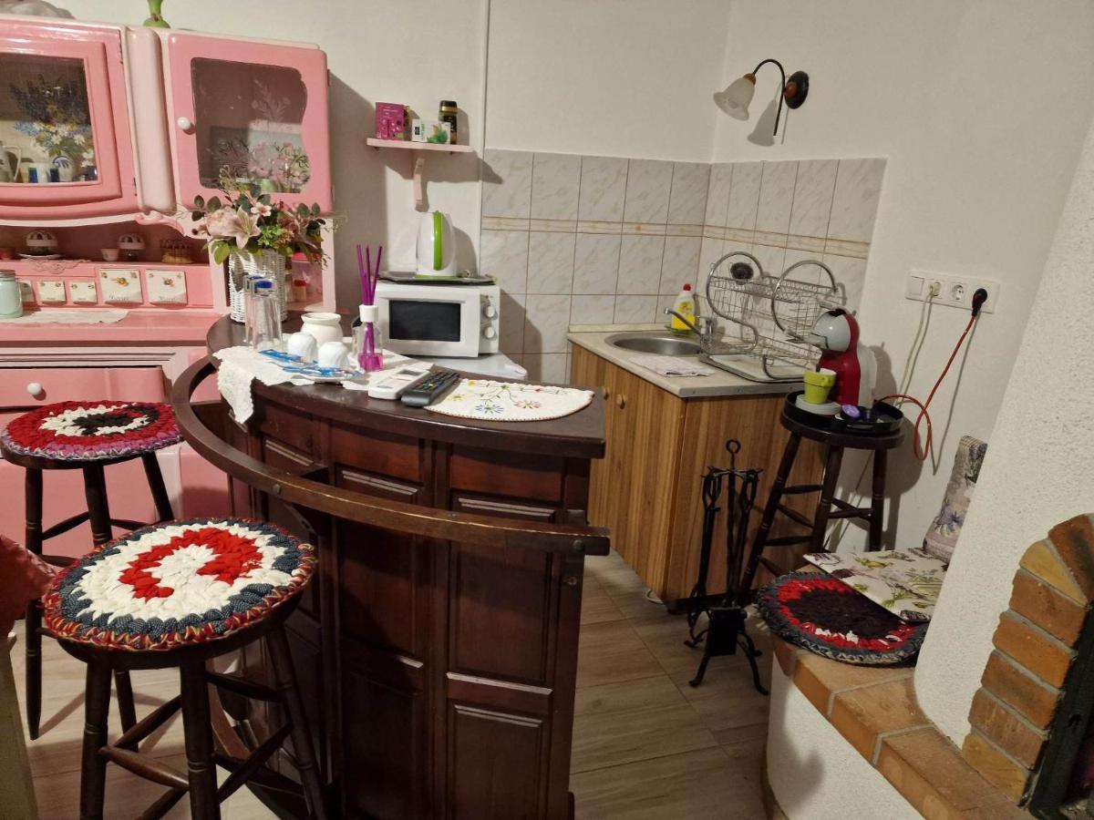 Apartment Duna-lak Vendeghaz